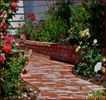 McNear Brick masonry garden walkway path with brick planter box in yard landscape.